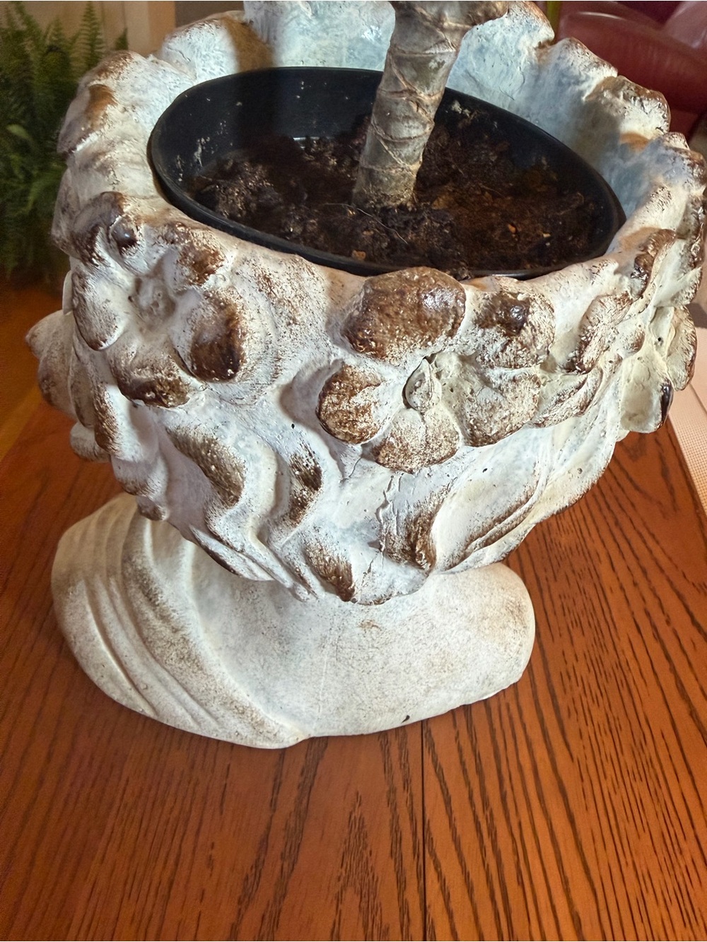 Decorative Bust Planter in Rustic, Weathered Stone - Picture 3 of 7